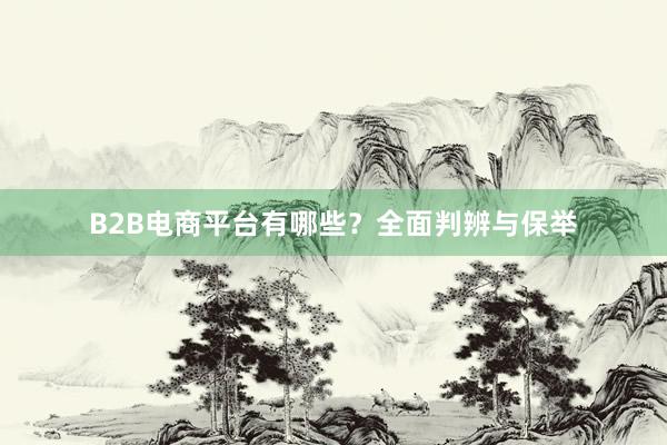 B2B电商平台有哪些？全面判辨与保举
