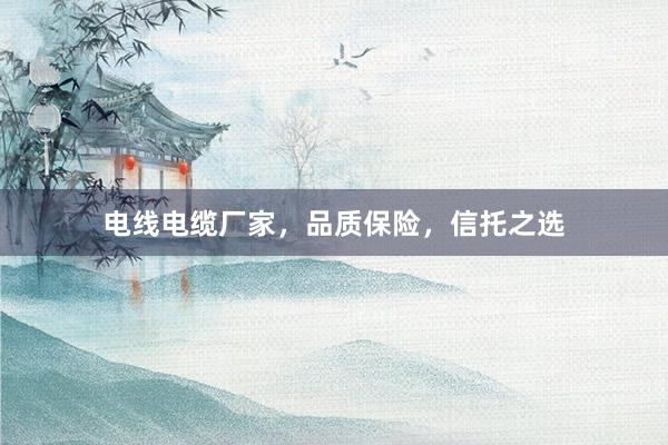 电线电缆厂家，品质保险，信托之选