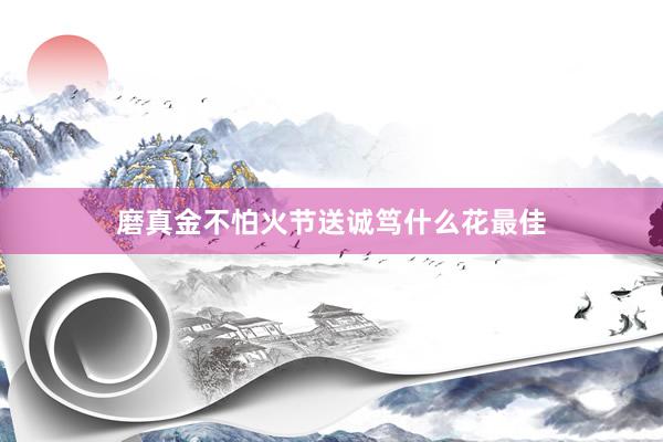 磨真金不怕火节送诚笃什么花最佳